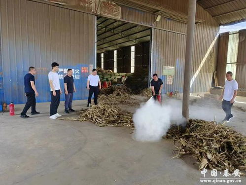 秦安兽药饲料经营及牧草加工企业安全生产督查纪实
