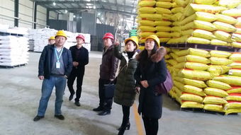 区畜牧兽医局开展饲料企业安全生产节前大检查 确保畜牧渔业饲料销售安全