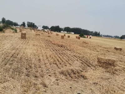 西华县以“五料化”模式开创秸秆综合利用新局面，助力畜牧渔业饲料销售