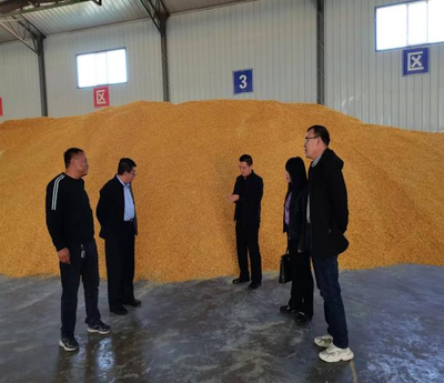 地方畜牧渔业饲料销售现状与前景展望