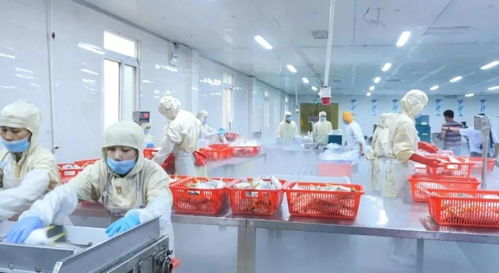两条鱼起家，一个潮商如何缔造二十亿产值的渔业王国